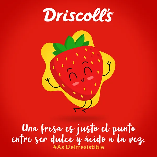 Driscoll's · Frutos de mis Raíces